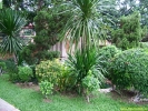 DSCF0296.jpg