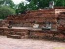 DSCF0311.jpg