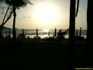 DSCF0547.jpg