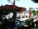 DSCF0550.jpg