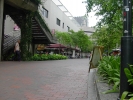 PICT4537.jpg