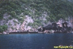 99164.jpg