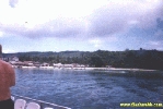99165.jpg