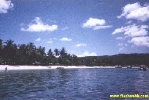 99168.jpg
