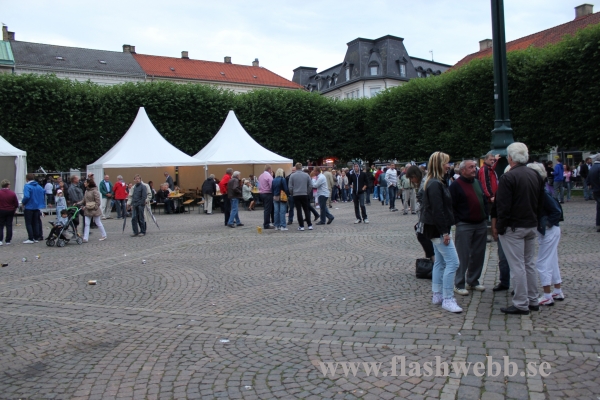 Karneval_20110715_044.JPG